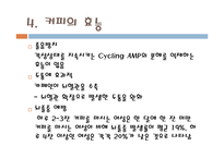 [식품] 커피 분석-15