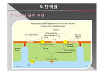 [생리학] Malabsorption 흡수장애-6