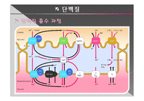 [생리학] Malabsorption 흡수장애-7
