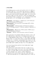 리더십 특성론과 리더십 행위론-2
