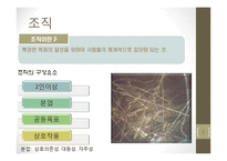 [조직개발론]경영자원의 조직화-2