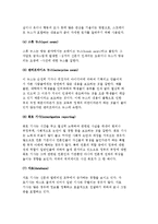 뉴스의 종류와 선택 및 제작-3