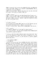 IPTV와 SNS 의 결합을 통한 상품 판매전략 및 발전모델 조사분석-11