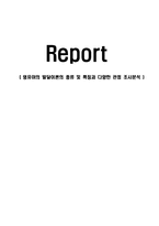 영유야의 발달이론의 종류 및 특징과 다양한 관점 조사분석-1