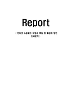 인터넷 쇼핑몰의 유형과 특징 및 활성화 방안 조사분석-1