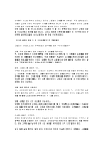 인터넷 쇼핑몰의 유형과 특징 및 활성화 방안 조사분석-4