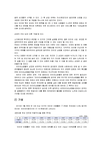 인터넷 쇼핑몰의 유형과 특징 및 활성화 방안 조사분석-5