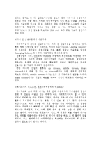 다국적 기업의 개념 및 특징-5