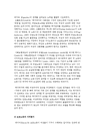 빈곤과 여성의 관계) 여성노동과 빈곤, 여성빈곤에 관한 여성주의적 논의-4