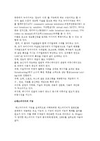 매스미디어의 정의와 유형 및 기능, 매스미디어와 언론 및 심리학적 이해-5