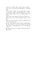 직업평가의 과정-파시넬리의 직업평가 과정, 나돌스키의 삼각형, 위스컨신 대학의 스타우트와 미국직-13