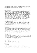 기업의 소비문화 응용) 히트상품과 소비자유형 및 신조어, 소비문화와 기업의 응용사례-4