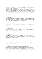 기업의 소비문화 응용) 히트상품과 소비자유형 및 신조어, 소비문화와 기업의 응용사례-5