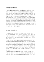 글로벌 시민사회와 글로벌 NGO의 역할과 활동의 한계-2
