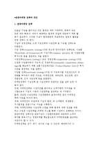 관광마케팅의 전략과 대안 및 전략수립 및 실행과정-2