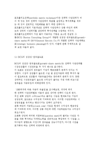 관광마케팅의 전략과 대안 및 전략수립 및 실행과정-7