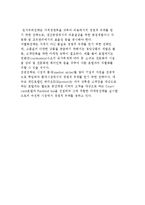 관광마케팅의 전략과 대안 및 전략수립 및 실행과정-11