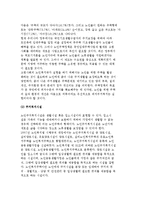 고령문제에 대한 노인복지현황 및 대책-8