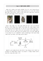 식물관찰탐구학습프로젝트_나무의생장, 식물탐구학습프로그램, 식물탐구교육프로그램계획안-5