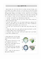 식물관찰탐구학습프로젝트_나무의생장, 식물탐구학습프로그램, 식물탐구교육프로그램계획안-11