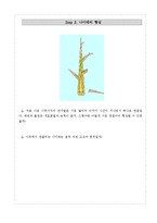 식물관찰탐구학습프로젝트_나무의생장, 식물탐구학습프로그램, 식물탐구교육프로그램계획안-18
