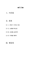 [우수평가A+자료]칠드런오브맨[칠드런오브맨영화감상문][SF영화][칠드런오브맨감상문]-2