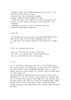 건강가정정책의 개념과 가족정책의 범위 및 전달체계, 외국의 건강가정정책-10