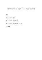 조손가족의 정의와 원인 및 실태, 조손가족 대안 및 지원프로그램-1
