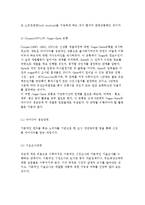 신관광상품의 개발전략과 과정 및 모형-5