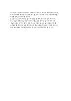 청소년 문화에 대한 인류학적 관점(발생론적-인간학적, 역사적, 놀이론적 접근)-9