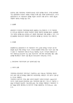 지방자치단체 상호관계의 의의 및 유형, 한국의 지방자치단체의 상호관계(문제점 및 개선방향과 이론)-11