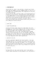 다국적기업화의 동기와 요인 및 과정과 특성-3