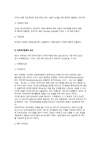 다국적기업화의 동기와 요인 및 과정과 특성-6