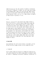 광고의 개념과 종류 및 기능, 광고의 필요성과 광고시스템-8