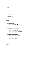 [지역계획]세종시 건설의 주요 쟁점과 향후 과제-2