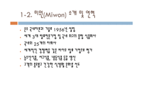 미원의 인도네시아 진출 성공전략-6