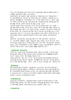 아동 및 청소년 복지정책의 현황과 문제점 및 발전방안-3