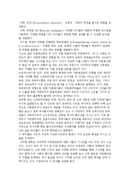 다문화교육을 위한 교육과정 논의의 필요성과 학교 다문화교육의 방향-7