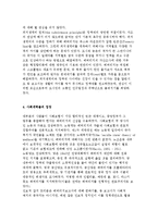 베버리지보고서, 베버리지위원회-8