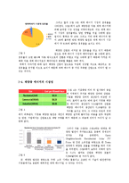 [국제경영] 반도체 산업과 비교를 통해 알아본 OCI의 미래-4