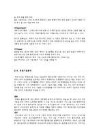 [국제경영] 반도체 산업과 비교를 통해 알아본 OCI의 미래-10