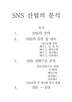SNS 소셜 네트워크 서비스(Social Network Service)산업의 분석-1