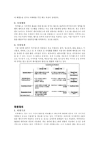 SNS 소셜 네트워크 서비스(Social Network Service)산업의 분석-13