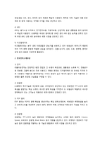 [국제경영] LG화학의 아랍에미리트 진출 전략 수립-5