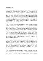 [국제경영] LG화학의 아랍에미리트 진출 전략 수립-11