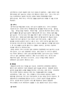 [국제무역] 목욕 팩키지(찜질방, 사우나, 마사지)의 미국시장 진출-4