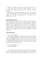[국제무역] 목욕 팩키지(찜질방, 사우나, 마사지)의 미국시장 진출-16
