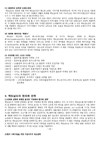 [국제경영] 맥도날드의 세계화 전략-5