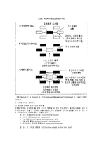경영의 세계화와 노동다양성에 발맞춘 변화-9