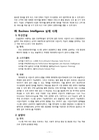 Business Intelligence 비즈니스 인텔리전스-13